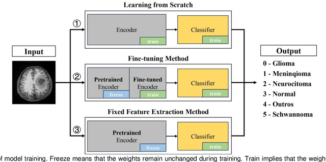 Figure 3 for Advancing Efficient Brain Tumor Multi-Class Classification -- New Insights from the Vision Mamba Model in Transfer Learning