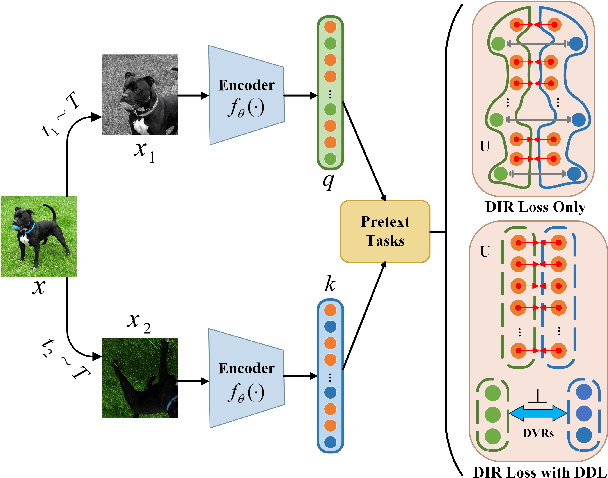 Figure 1 for Distortion-Disentangled Contrastive Learning