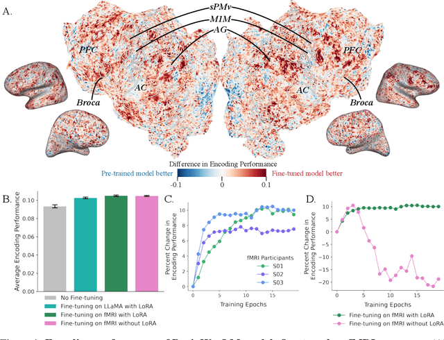 Figure 1 for BrainWavLM: Fine-tuning Speech Representations with Brain Responses to Language