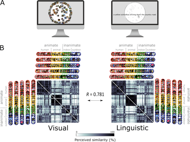 Figure 1 for Representations in vision and language converge in a shared, multidimensional space of perceived similarities