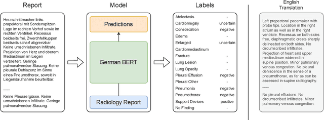 Figure 1 for Automated Labeling of German Chest X-Ray Radiology Reports using Deep Learning