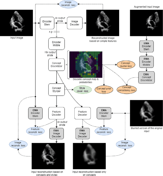 Figure 3 for ConceptVAE: Self-Supervised Fine-Grained Concept Disentanglement from 2D Echocardiographies
