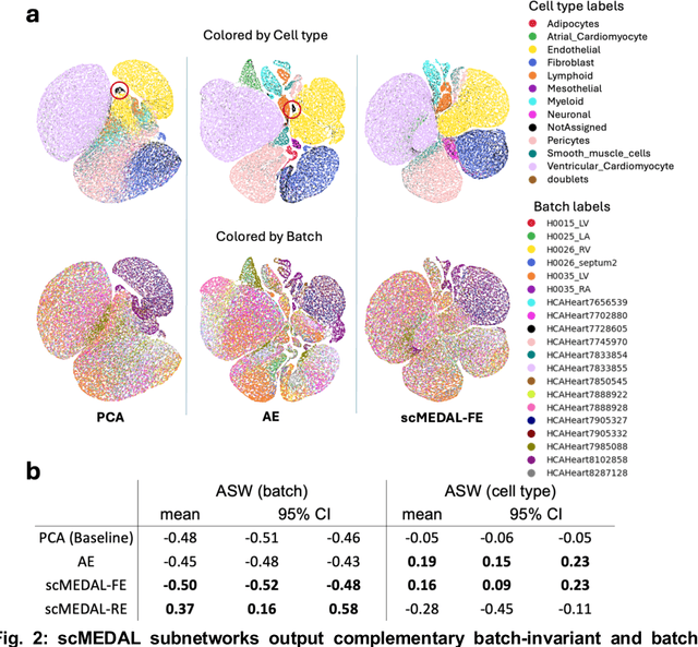 Figure 3 for Mixed Effects Deep Learning for the interpretable analysis of single cell RNA sequencing data by quantifying and visualizing batch effects