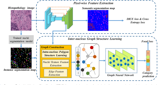 Figure 2 for Structure Embedded Nucleus Classification for Histopathology Images