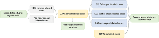 Figure 1 for Two-Stage Hybrid Supervision Framework for Fast, Low-resource, and Accurate Organ and Pan-cancer Segmentation in Abdomen CT