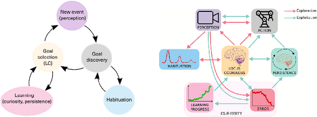 Figure 1 for Dynamic Neural Curiosity Enhances Learning Flexibility for Autonomous Goal Discovery