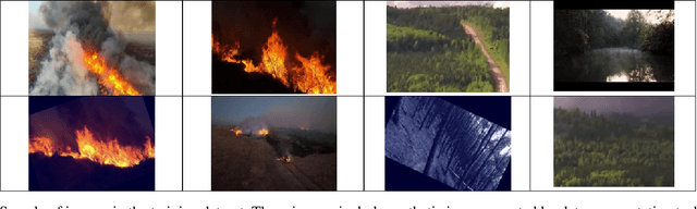 Figure 1 for Comprehensive and Comparative Analysis between Transfer Learning and Custom Built VGG and CNN-SVM Models for Wildfire Detection