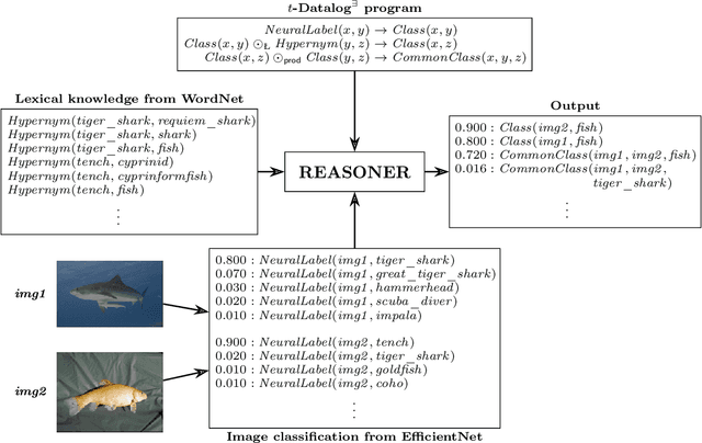 Figure 1 for Fuzzy Datalog$^\exists$ over Arbitrary t-Norms