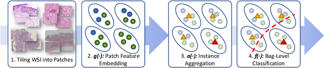 Figure 1 for Iteratively Coupled Multiple Instance Learning from Instance to Bag Classifier for Whole Slide Image Classification