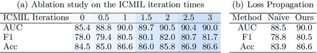 Figure 2 for Iteratively Coupled Multiple Instance Learning from Instance to Bag Classifier for Whole Slide Image Classification