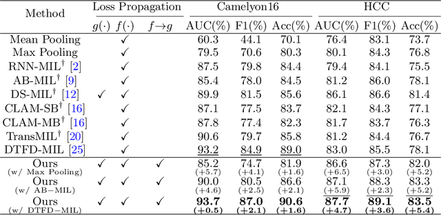 Figure 4 for Iteratively Coupled Multiple Instance Learning from Instance to Bag Classifier for Whole Slide Image Classification