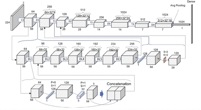 Figure 1 for A novel approach to navigate the taxonomic hierarchy to address the Open-World Scenarios in Medicinal Plant Classification