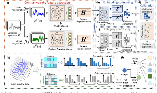 Figure 1 for Self-Calibrated Dual Contrasting for Annotation-Efficient Bacteria Raman Spectroscopy Clustering and Classification