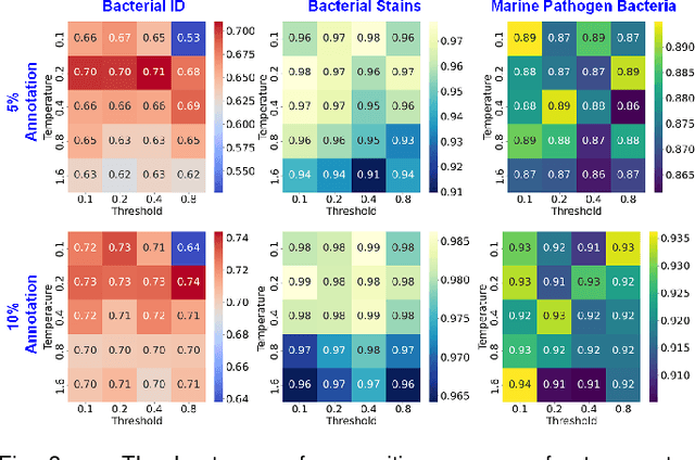 Figure 3 for Self-Calibrated Dual Contrasting for Annotation-Efficient Bacteria Raman Spectroscopy Clustering and Classification