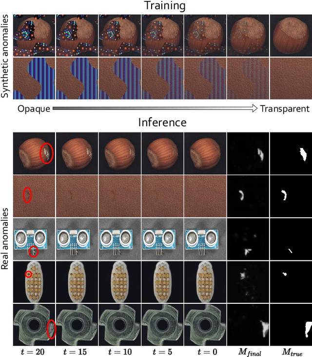 Figure 1 for TransFusion -- A Transparency-Based Diffusion Model for Anomaly Detection