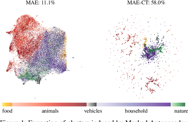 Figure 1 for Contrastive Tuning: A Little Help to Make Masked Autoencoders Forget