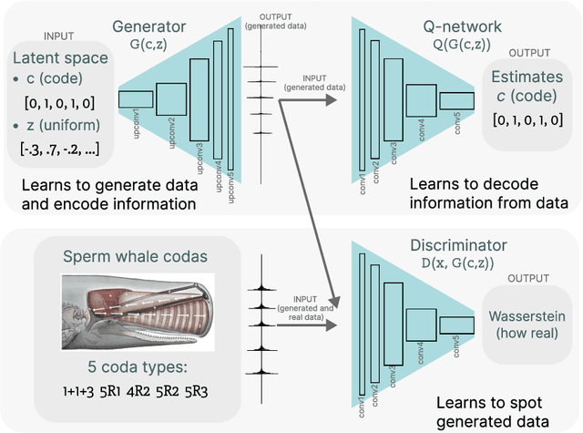 Figure 1 for Approaching an unknown communication system by latent space exploration and causal inference