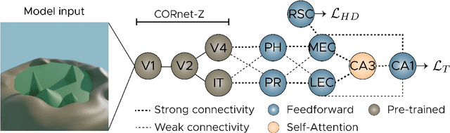 Figure 1 for Probing neural representations of scene perception in a hippocampally dependent task using artificial neural networks