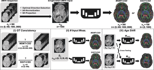 Figure 1 for Ground-truth effects in learning-based fiber orientation distribution estimation in neonatal brains