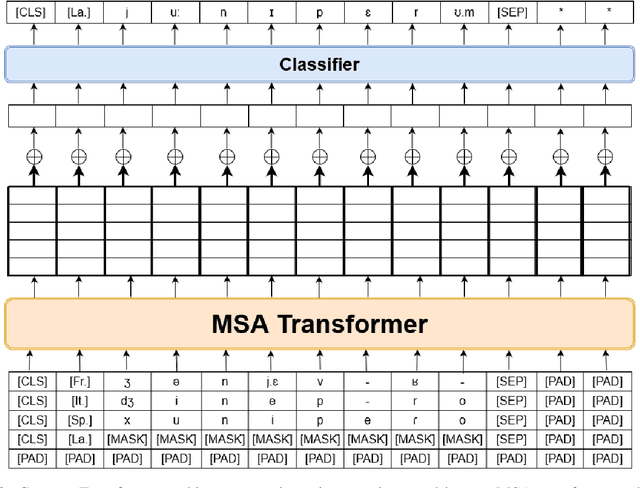 Figure 4 for Cognate Transformer for Automated Phonological Reconstruction and Cognate Reflex Prediction