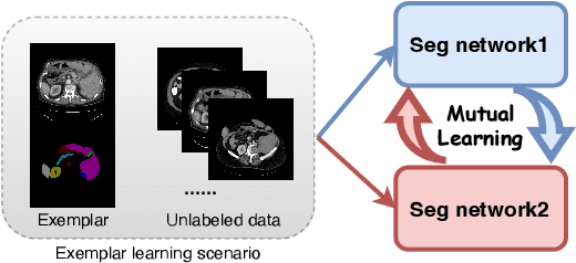 Figure 1 for Cross-model Mutual Learning for Exemplar-based Medical Image Segmentation