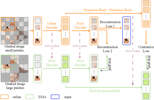 Figure 1 for Symmetric masking strategy enhances the performance of Masked Image Modeling