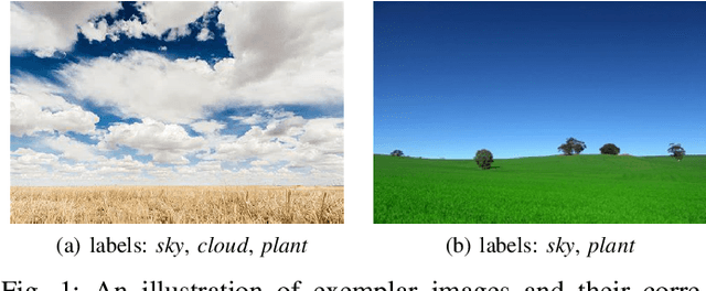 Figure 1 for Scalable Label Distribution Learning for Multi-Label Classification