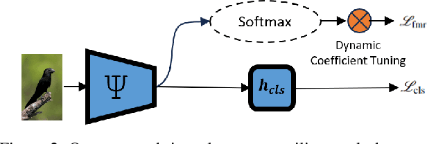 Figure 3 for Enhancing Fine-Grained Visual Recognition in the Low-Data Regime Through Feature Magnitude Regularization