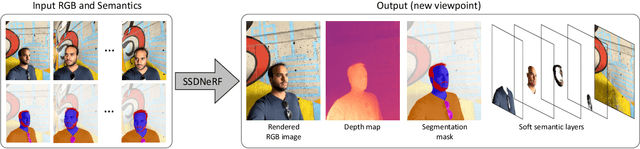 Figure 1 for SSDNeRF: Semantic Soft Decomposition of Neural Radiance Fields