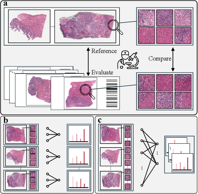 Figure 1 for Look a Group at Once: Multi-Slide Modeling for Survival Prediction