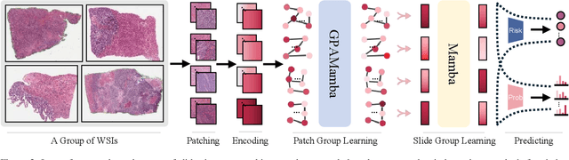 Figure 3 for Look a Group at Once: Multi-Slide Modeling for Survival Prediction