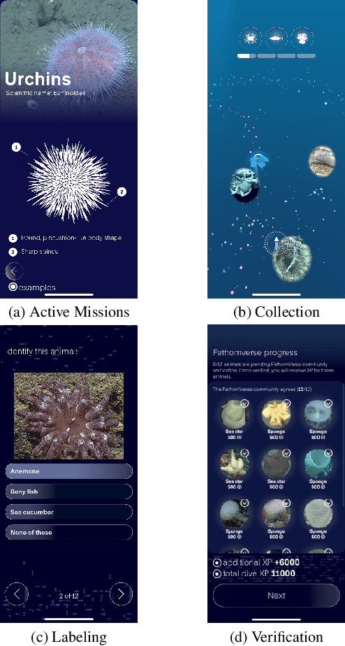 Figure 1 for FathomVerse: A community science dataset for ocean animal discovery