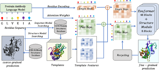 Figure 1 for xTrimoABFold: De novo Antibody Structure Prediction without MSA