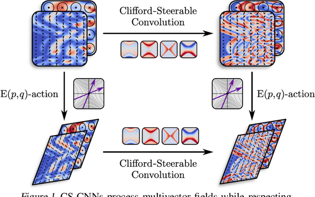 Figure 1 for Clifford-Steerable Convolutional Neural Networks