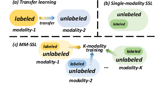 Figure 1 for Double Banking on Knowledge: Customized Modulation and Prototypes for Multi-Modality Semi-supervised Medical Image Segmentation