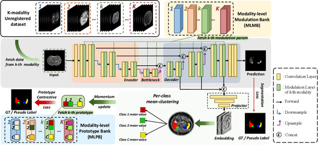 Figure 2 for Double Banking on Knowledge: Customized Modulation and Prototypes for Multi-Modality Semi-supervised Medical Image Segmentation