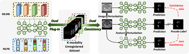 Figure 3 for Double Banking on Knowledge: Customized Modulation and Prototypes for Multi-Modality Semi-supervised Medical Image Segmentation