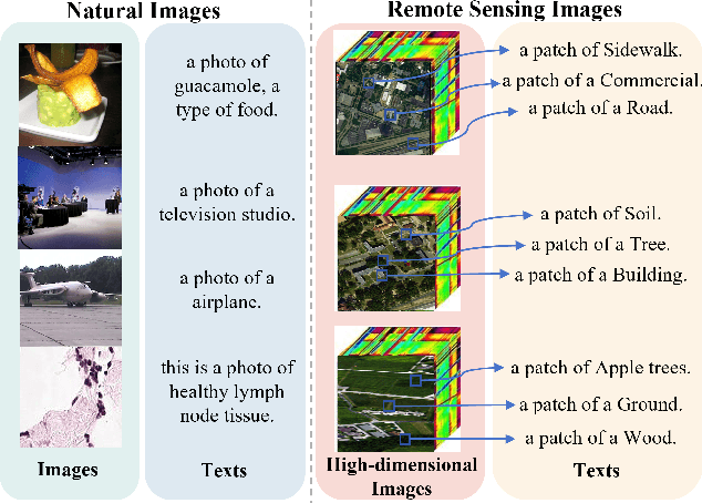 Figure 1 for DiffCLIP: Few-shot Language-driven Multimodal Classifier