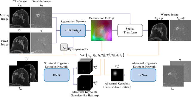 Figure 3 for To deform or not: treatment-aware longitudinal registration for breast DCE-MRI during neoadjuvant chemotherapy via unsupervised keypoints detection