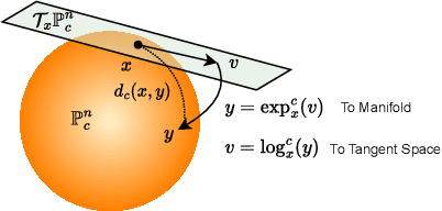 Figure 1 for HyperVQ: MLR-based Vector Quantization in Hyperbolic Space