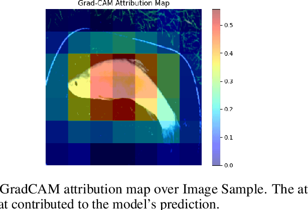 Figure 3 for xai_evals : A Framework for Evaluating Post-Hoc Local Explanation Methods