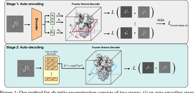 Figure 1 for Improving Ab-Initio Cryo-EM Reconstruction with Semi-Amortized Pose Inference