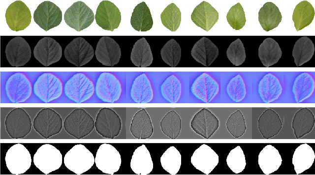 Figure 2 for Generating Diverse Agricultural Data for Vision-Based Farming Applications