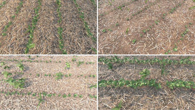 Figure 4 for Generating Diverse Agricultural Data for Vision-Based Farming Applications