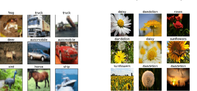 Figure 3 for Model Parallel Training and Transfer Learning for Convolutional Neural Networks by Domain Decomposition