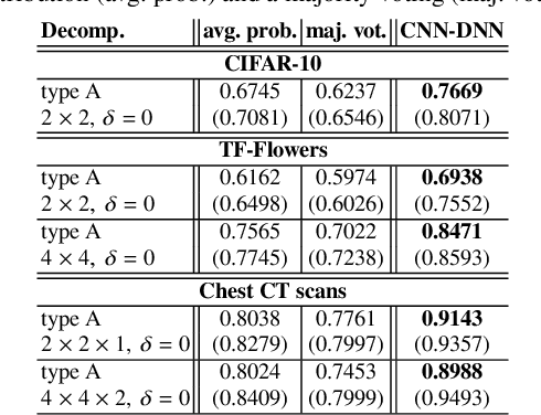 Figure 2 for Model Parallel Training and Transfer Learning for Convolutional Neural Networks by Domain Decomposition