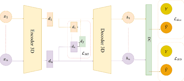 Figure 1 for Robust Divergence Learning for Missing-Modality Segmentation