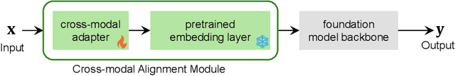 Figure 3 for SimCMF: A Simple Cross-modal Fine-tuning Strategy from Vision Foundation Models to Any Imaging Modality