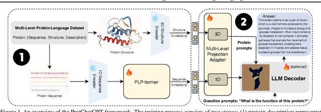 Figure 1 for ProtChatGPT: Towards Understanding Proteins with Large Language Models