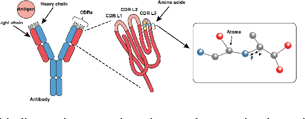 Figure 1 for Improving Antibody Design with Force-Guided Sampling in Diffusion Models